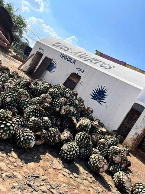 Destino Tequila: Experiencia Premier Privada - Tequila town free time: cobblestones, museums, and big distillery facades