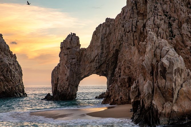 Dinner Cruise Tour in Cabo San Lucas with Tequila Tasting - Who this tour fits best (and who should think twice)