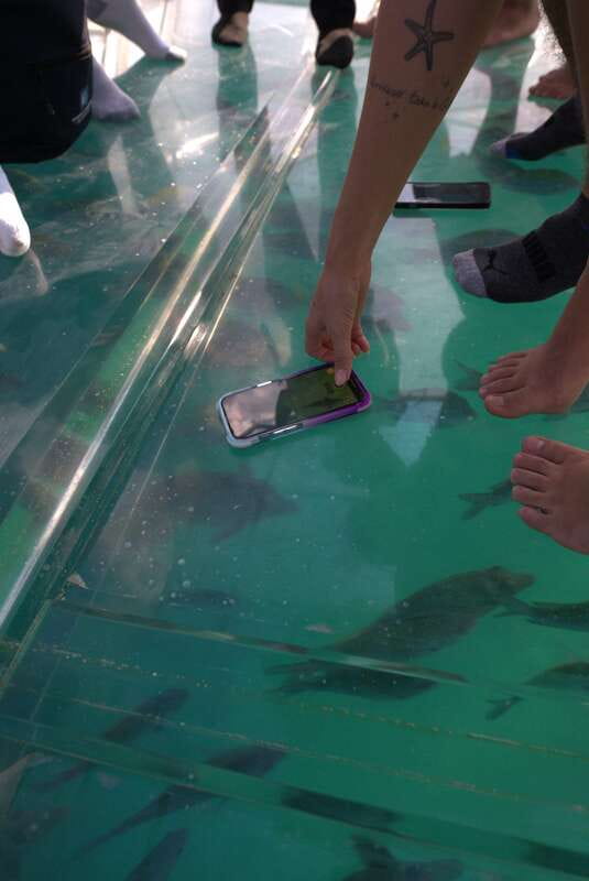 Discover Cabo San Lucas Clear Boat Glass Factory & Tequila - Getting picked up and handling the day’s timing