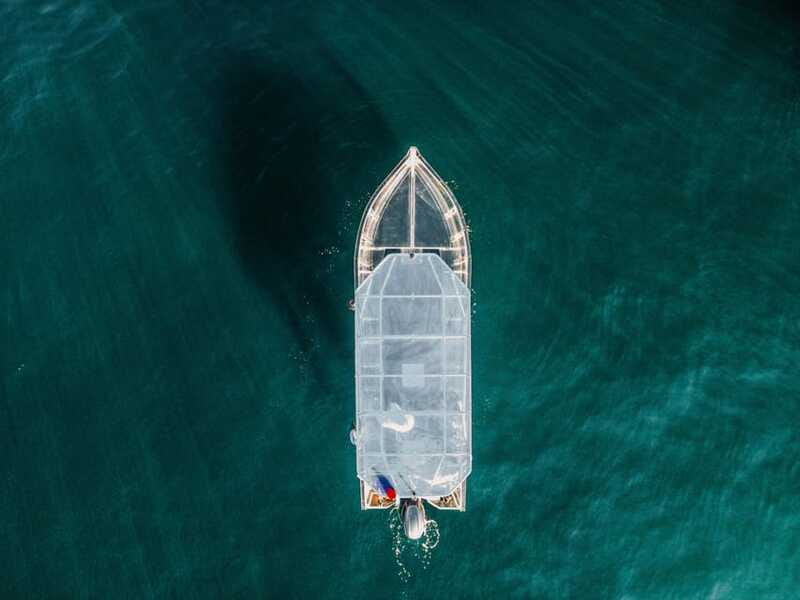 Discover Cabo San Lucas Clear Boat Glass Factory & Tequila - Museum of Natural History: the quick culture-and-science break