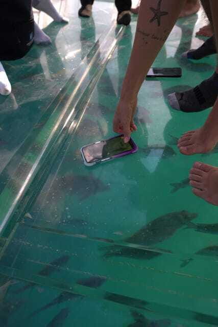 Discover Cabo San Lucas Clear Boat Glass Factory & Tequila - Optional Lover’s Beach time and when you should plan for it