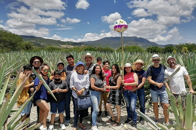 Distillery Tour and Agave Fields by Mal de Amor Mezcal - Price and What $71.73 Buys You (And Why It Feels Fair)