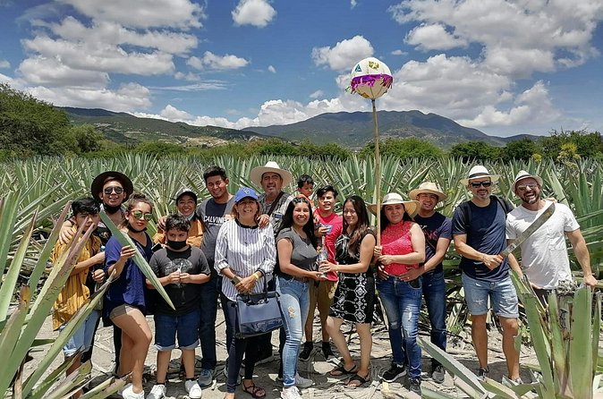 Distillery Tour and Agave Fields by Mal de Amor Mezcal - Stop 3 in Santiago Matatlán: Barrel Cart, Ritual Moment, and Pulquería Tastings