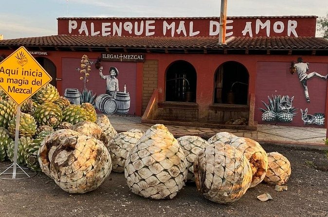 Distillery Tour and Agave Fields by Mal de Amor Mezcal - Who This Tour Is For (And Who Might Want Something Else)