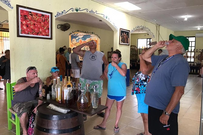 Dune Buggy Adventure, Snorkel, Mayan Town, East Coast, Tequila and City Tour - Should You Book This Cozumel Fun Excursions Tour?