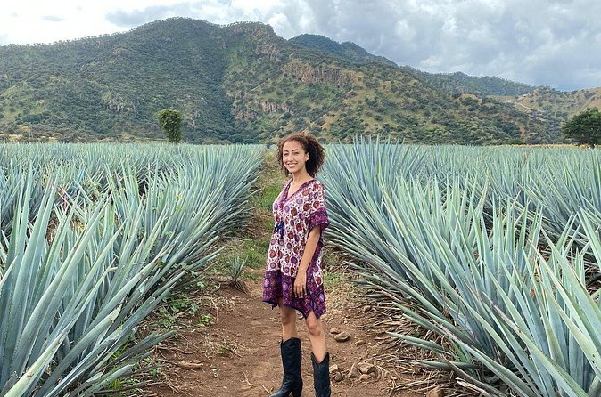 Enjoy a full day on the Tequila and Amatitan route - Cantaritos el Güero #1: live mariachi and cantaritos with music
