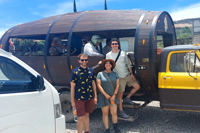 Experience the Mezcal Tour in Oaxaca - What You’ll Learn About Agaves (Not Just Hear, Really See)