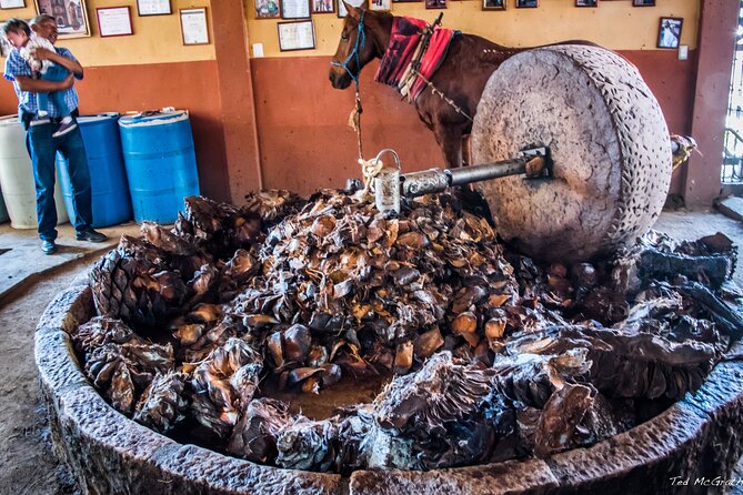 Experience the Mezcal Tour in Oaxaca - Mezcal Tasting: How to Get More Out of the Pour