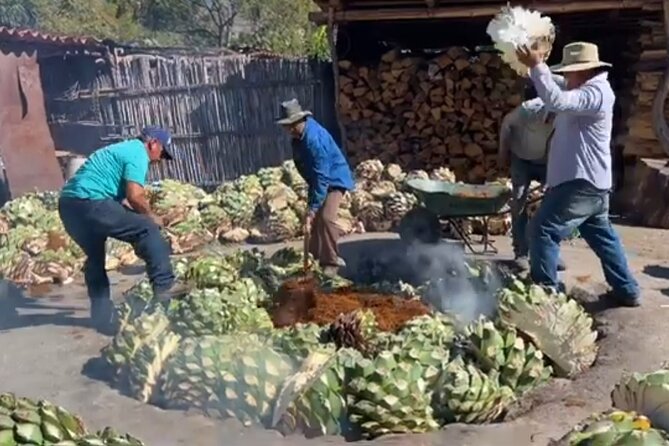 Experience the Mezcal Tour in Oaxaca - Stop 1 on the Oaxaca Outskirts: Distillery Views and Agave on the Road