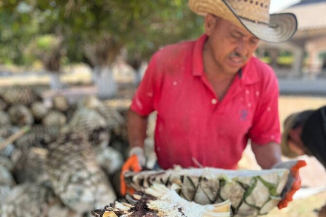 Finca 18 Puerto Vallarta Tequila Tour + Chocolate Pairing - A historic estate: seeing agave where it grows
