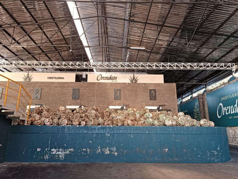 Five-star factory: Meet Orendain tequila. - Key Highlights You’ll Actually Care About