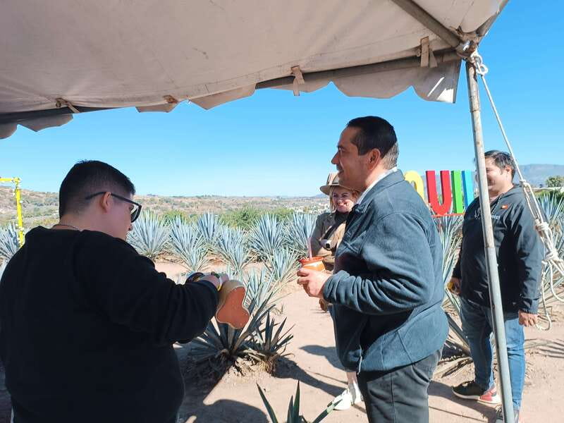 Five-star factory: Meet Orendain tequila. - The Barrel-Shaped Bus Ride: Fun Town Views With Actual Cultural Notes