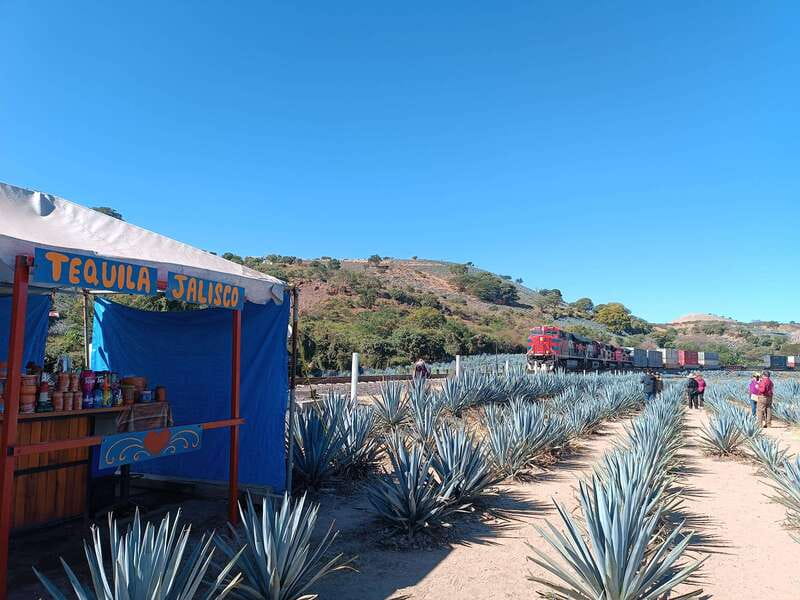 Five-star factory: Meet Orendain tequila. - Meeting at C. Juárez 21 (Near Helados Piwi) Without Losing Time