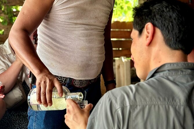 Flavors and landscapes Boil water Mezcal Textiles and Cooking - Pickup and timing in Oaxaca de Juárez: how to avoid wasted minutes