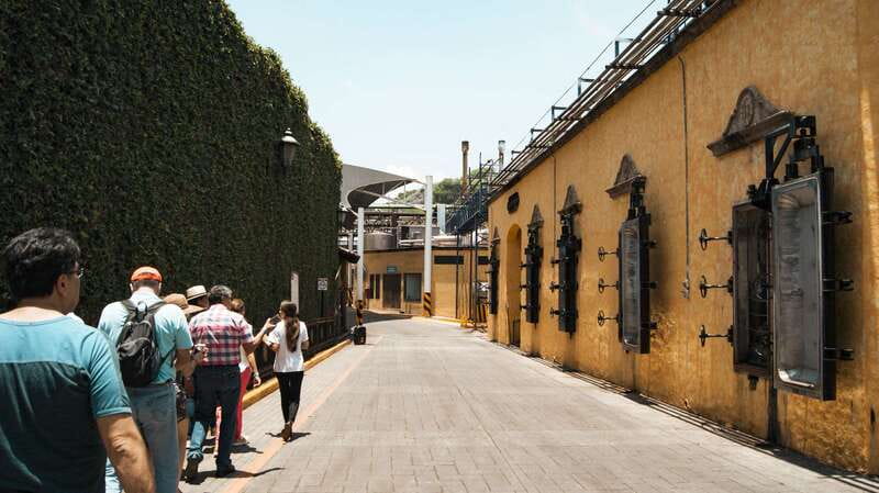 From Guadalajara: Pyramids & Jose Cuervo Tequila Tour - Jose Cuervo Distillery: the tour flow and what the tastings are for