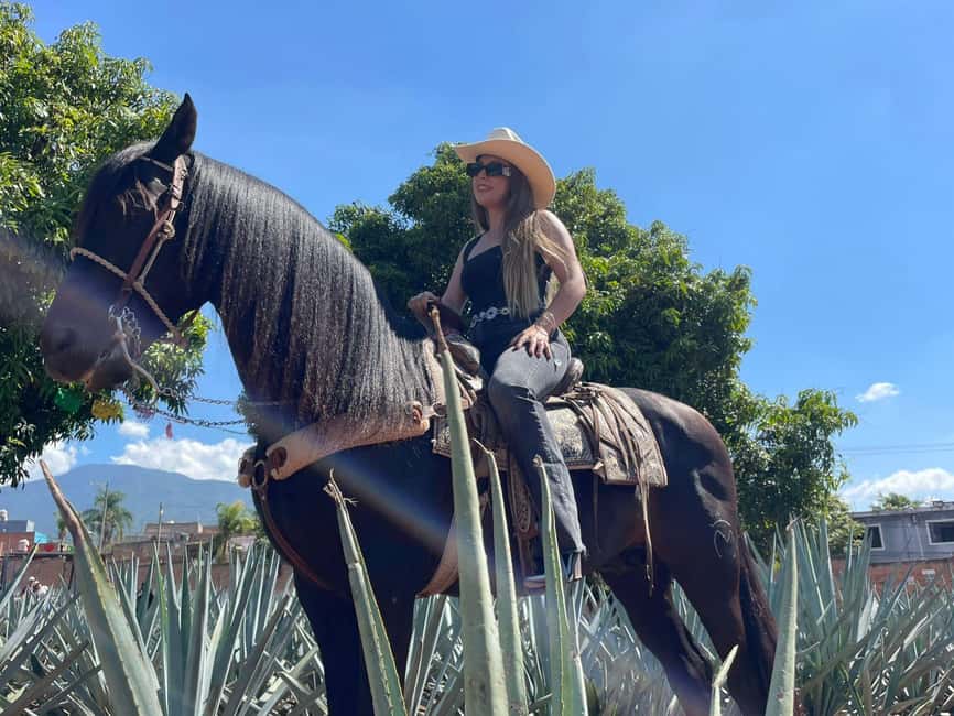 From Guadalajara: Tequila Town and Cantaritos El Guero - El Arenal’s Tequila Don Cayo Factory: Learning by Doing