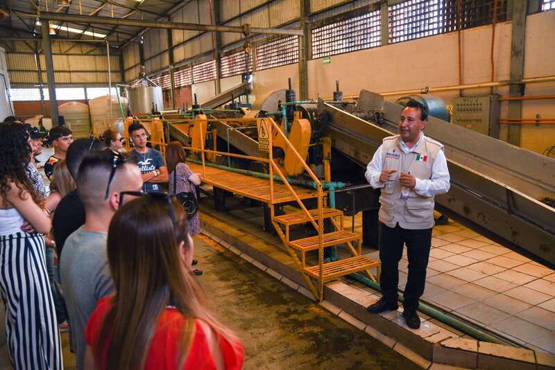 From Guadalajara: Tequila Trail Tour with Tasting - The tasting that actually teaches: blancos, reposados, añejos
