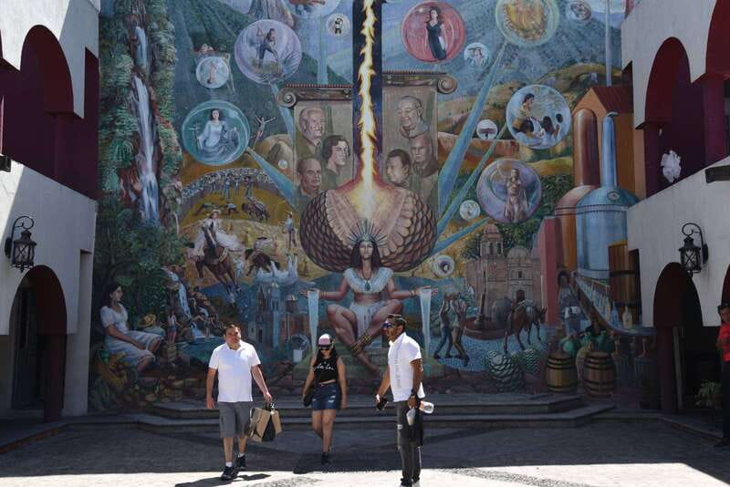 From Guadalajara: Tequila Trail Tour with Tasting - Famous brand distillery stops and volcanic scenery