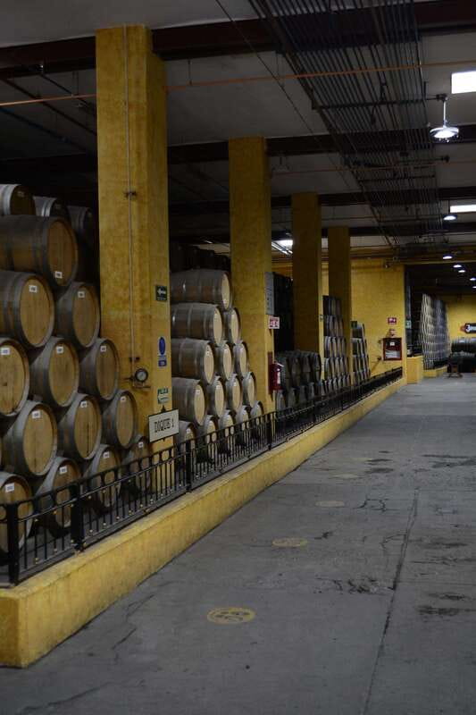 From Guadalajara: Town of Tequila & Jose Cuervo Factory Tour - Photo stops and pacing: using the schedule instead of fighting it