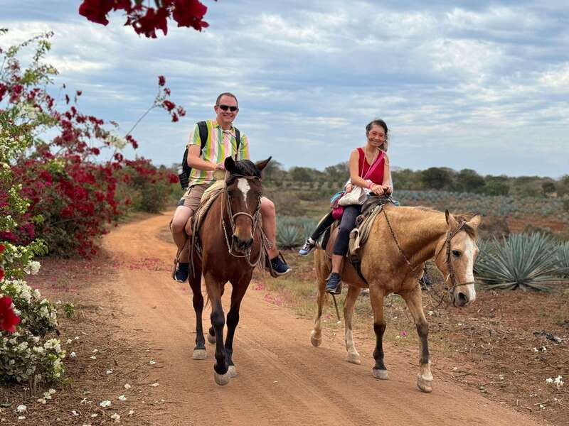 From Mazatlan: ATV & Horse Back riding with Tequila Tasting - Key highlights worth planning around