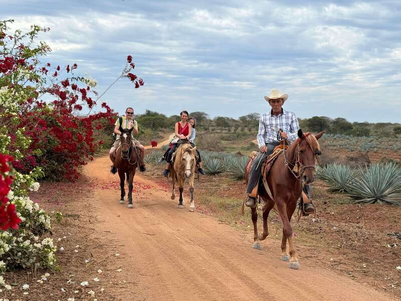 From Mazatlan: ATV & Horse Back riding with Tequila Tasting - ATV ride over beach and agave: helmets, goggles, and real terrain