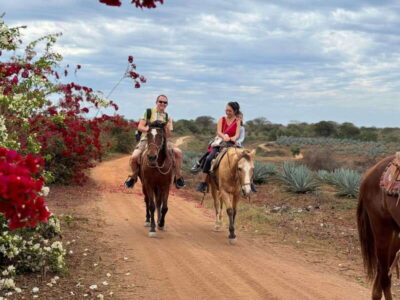 From Mazatlan: ATV & Horse Back riding with Tequila Tasting - Zipline time in Sinaloa: fun speed with a few balance moments