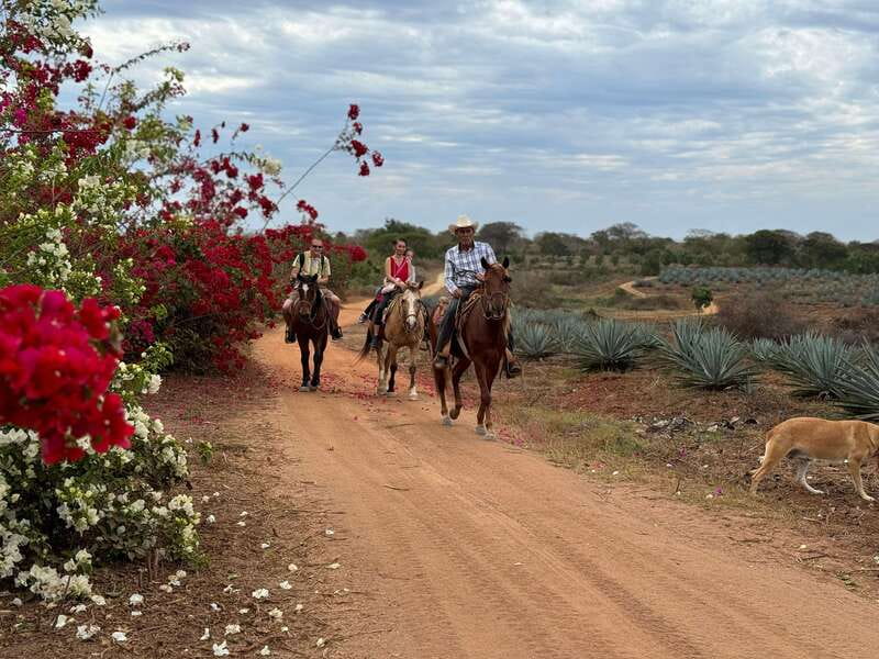 From Mazatlan: ATV & Horse Back riding with Tequila Tasting - Price and value: what $210 gets you for an action-heavy day