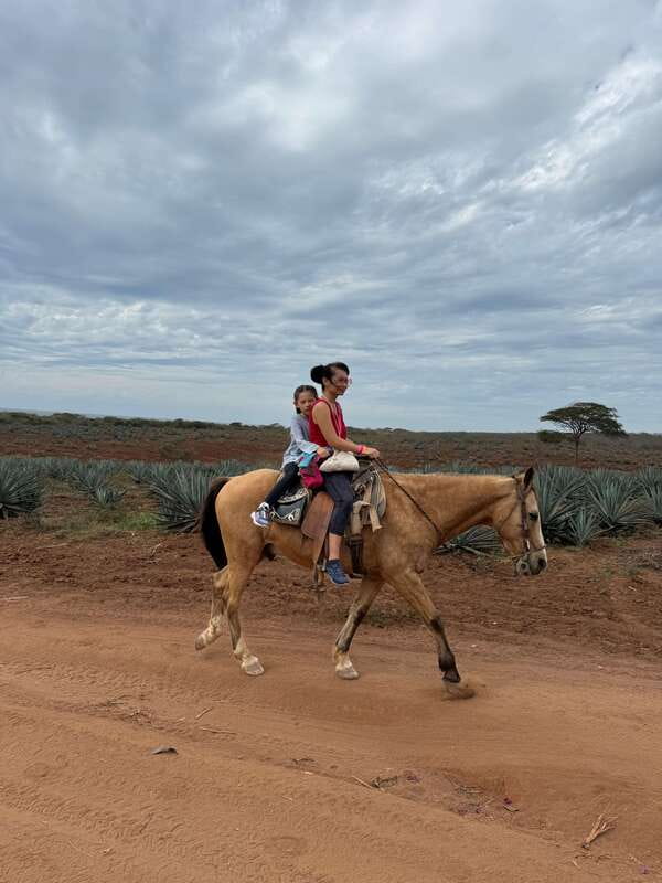 From Mazatlan: ATV & Horse Back riding with Tequila Tasting - Practical tips that help you enjoy the day more