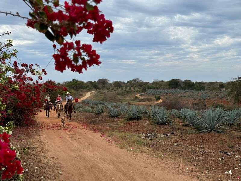 From Mazatlan: ATV & Horse Back riding with Tequila Tasting - Should you book this ATV, horseback, zipline, and mezcal day?