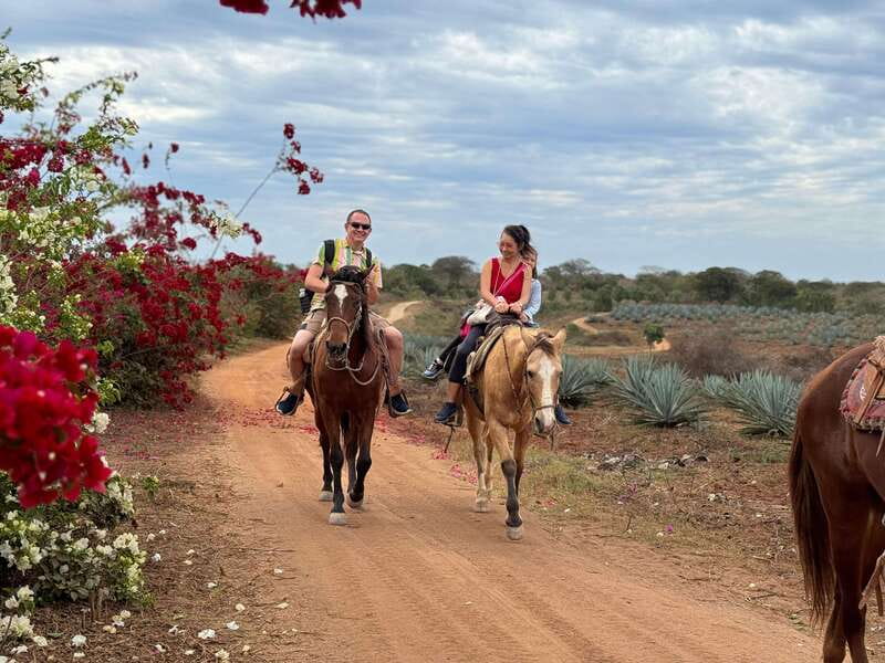 From Mazatlan: ATV & Horse Back riding with Tequila Tasting - Zipline time in Sinaloa: fun speed with a few balance moments