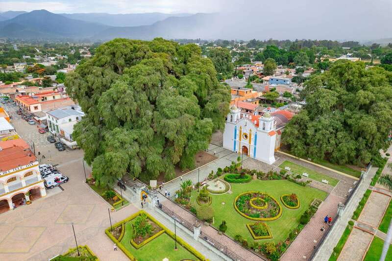 From Oaxaca: City, Mitla, and Mezcal Factory Tour - Meeting the day: pickup, pacing, and what 8 hours really feels like