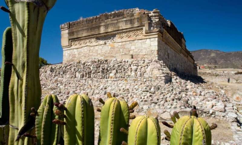 From Oaxaca: City, Mitla, and Mezcal Factory Tour - What you’re paying for: value at about $57