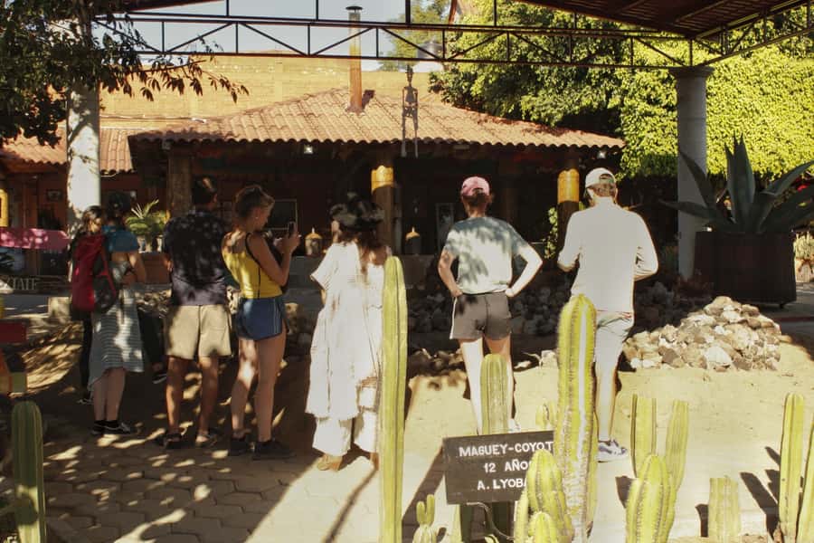 From Oaxaca de Juarez: Hierve el Agua and Mezcal Distillery - Hierve el Agua: petrified waterfall views and real pool time