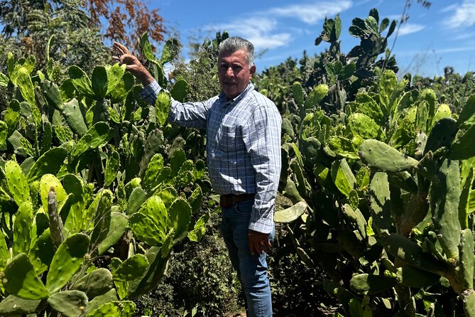 Fruit Garden and Mezcal Tasting Tour with Lunch Included - Quick Hits Before You Go