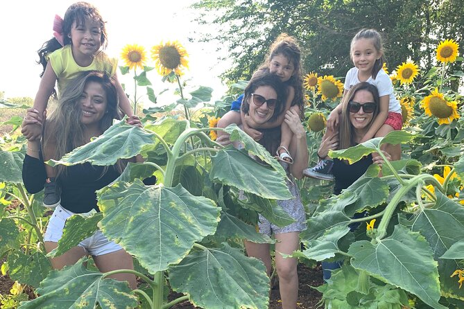 Fruit Garden and Mezcal Tasting Tour with Lunch Included - Price and Value: Why $55 Often Works Here