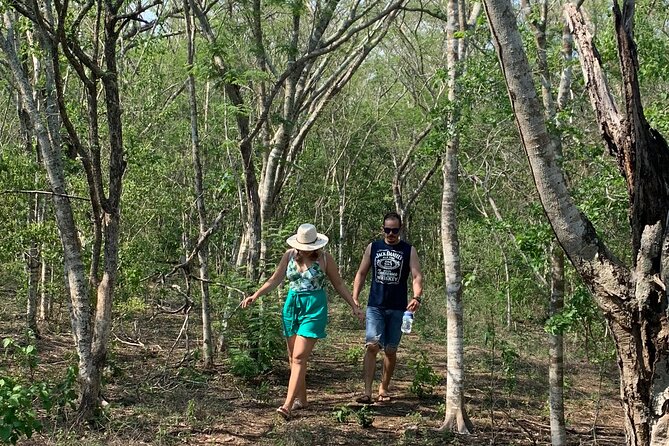 Fruit Garden and Mezcal Tasting Tour with Lunch Included - Practical Tips to Make Your Fruit and Mezcal Day Go Smoothly