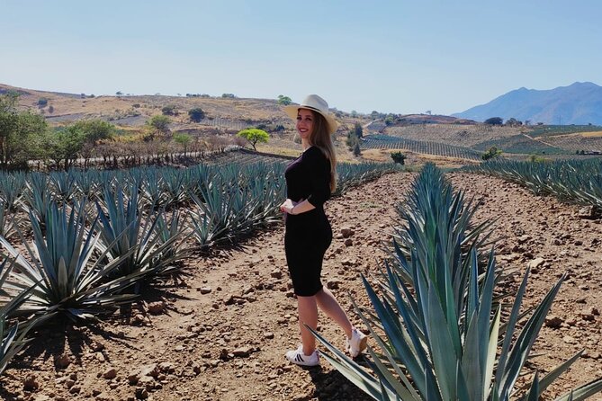 Full Day in Tequila with Tasting and party in Cantaritos - Cantaritos el Güero #1 in Amatitán: the day’s big party finish