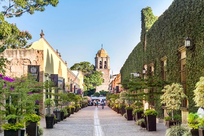 Full-Day Tequila, Jalisco from Puerto Vallarta with Tequila Experience - Key things to know before you go