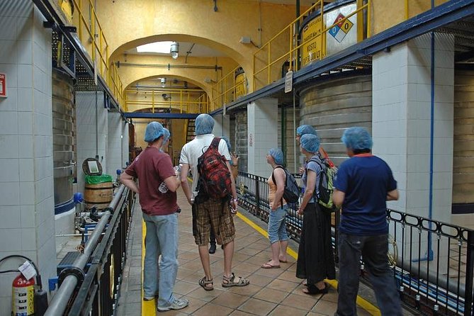 Full-Day Tequila, Jalisco from Puerto Vallarta with Tequila Experience - Breakfast, lunch, and non-alcoholic drinks: eating without breaking the flow