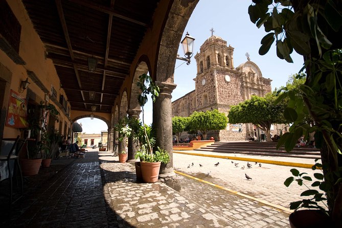 Full-Day Tequila, Jalisco from Puerto Vallarta with Tequila Experience - Morning logistics: pickup, comfort, and what to plan for