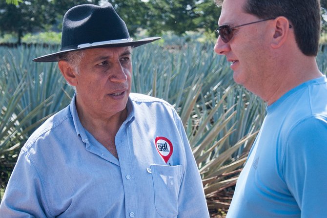 Full-Day Tequila Tour from Guadalajara - Agave fields near Tequila: the plant lesson that pays off