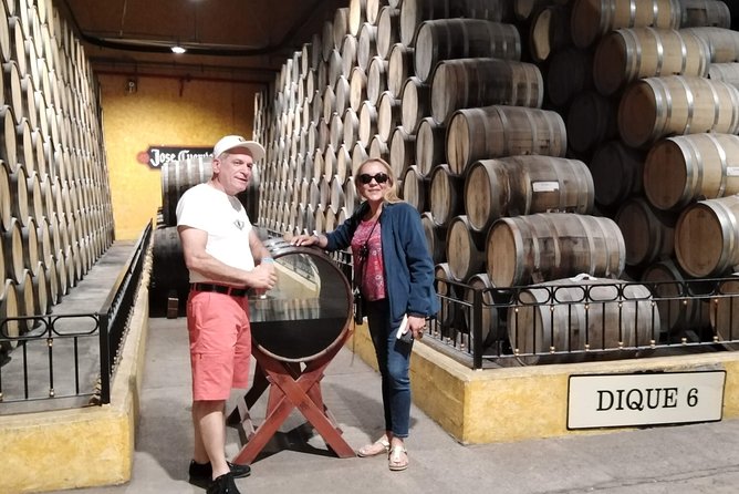 Full-Day Tequila Tour from Guadalajara - Guide quality and the Ramon effect