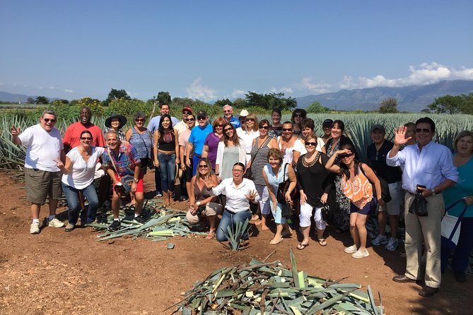Full-Day Tequila Tour from Guadalajara - Getting there comfortably: minivan, bumpy roads, and the 18+ tasting rule