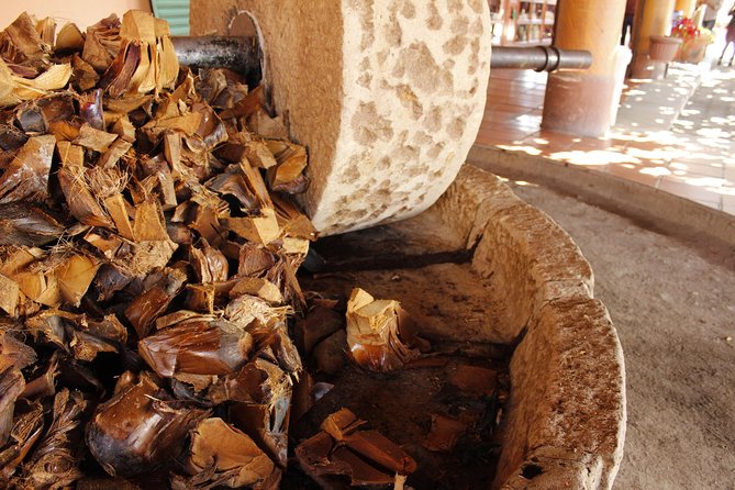 full day tour : Boil the water, Teotitlan, Mezcal, tule and Mitla - Mezcal Distillery Stop: Process Viewing and Cream Tasting