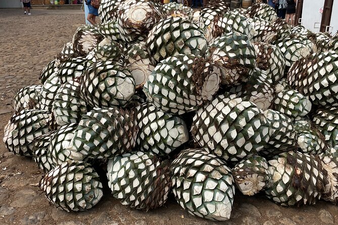 Full-Day Tour in Tequila factory and Cantaritos el Gúero - Cantaritos el Güero: oversized tequila drinks and live banda/mariachi