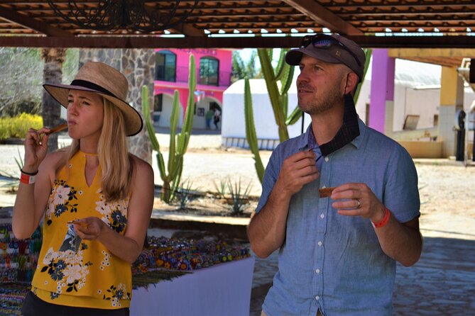 Full Day Tour to Tequila and Amatitán with Fun and Culture - Price and value: $47.10 for a full day of culture and tastings