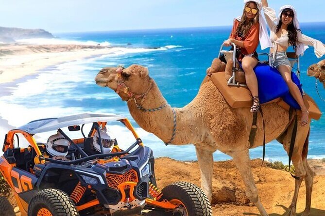 Fun Camel Ride and UTV COMBO with Tequila Tasting! - Key things that make this tour worth your time