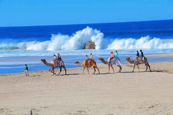 Fun Camel Ride and UTV COMBO with Tequila Tasting! - The UTV or side-by-side ride: the real action