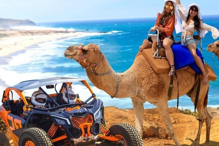 Fun Camel Ride and UTV COMBO with Tequila Tasting! - Phones, photos, and that photographer deal