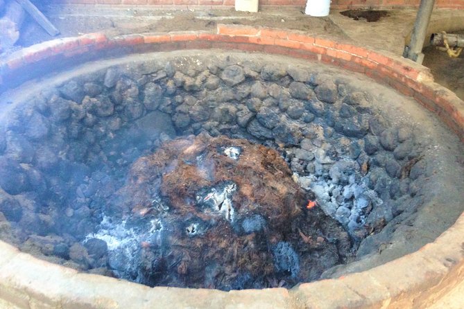 Gastronomy Experience, Culture Mezcal,Tasting & Textiles. Private Tour. - Tule Tree in 20 minutes: a breather with serious scale